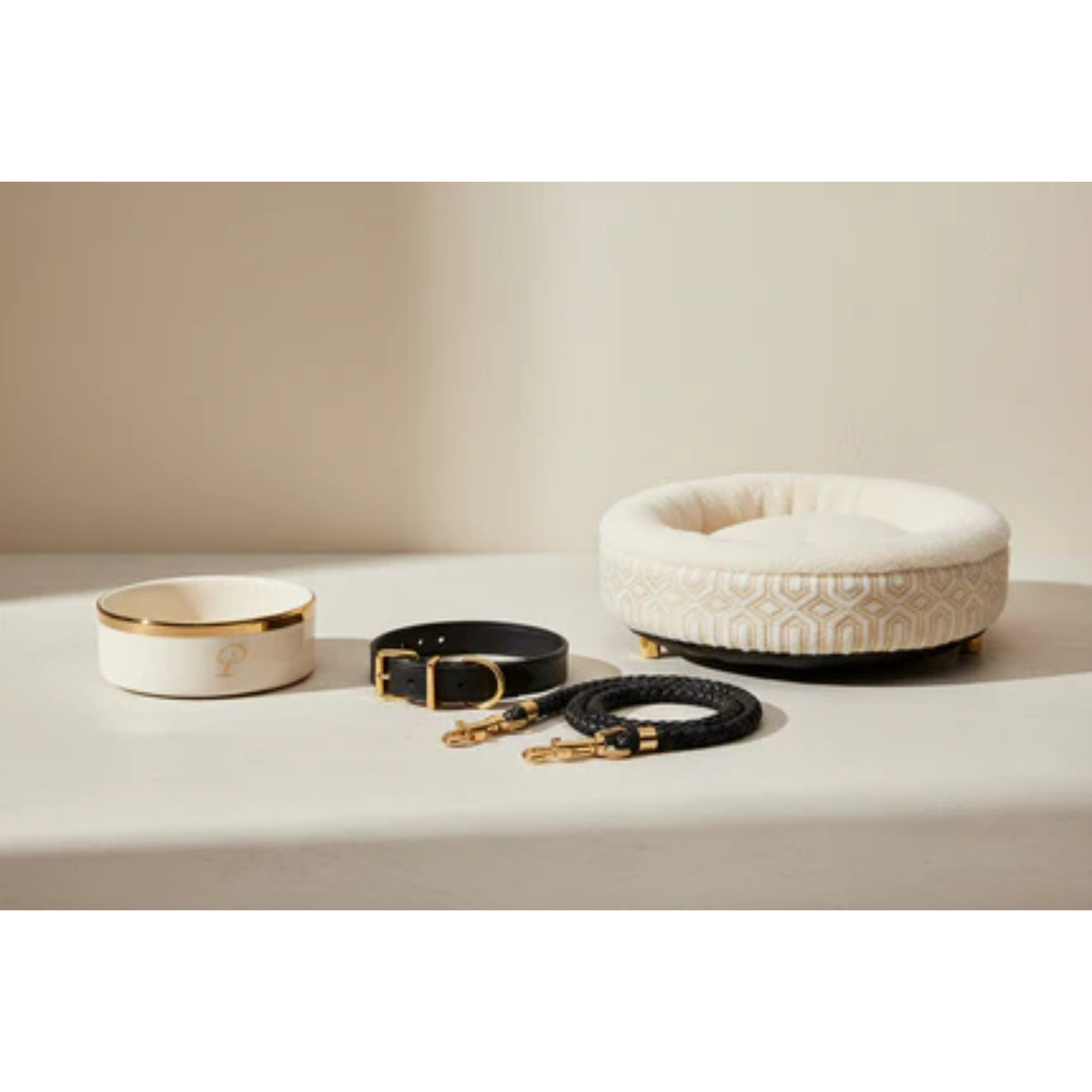 Pet Accessories
