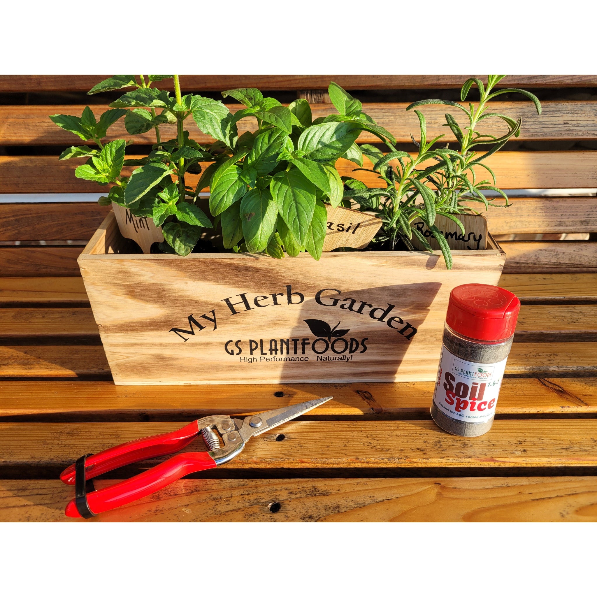 Herb Window Garden Gift Set
