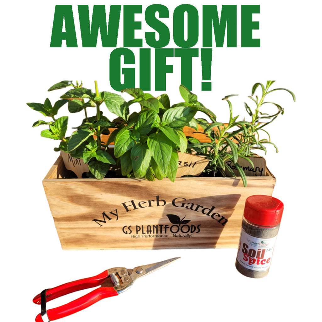 Herb Window Garden Gift Set