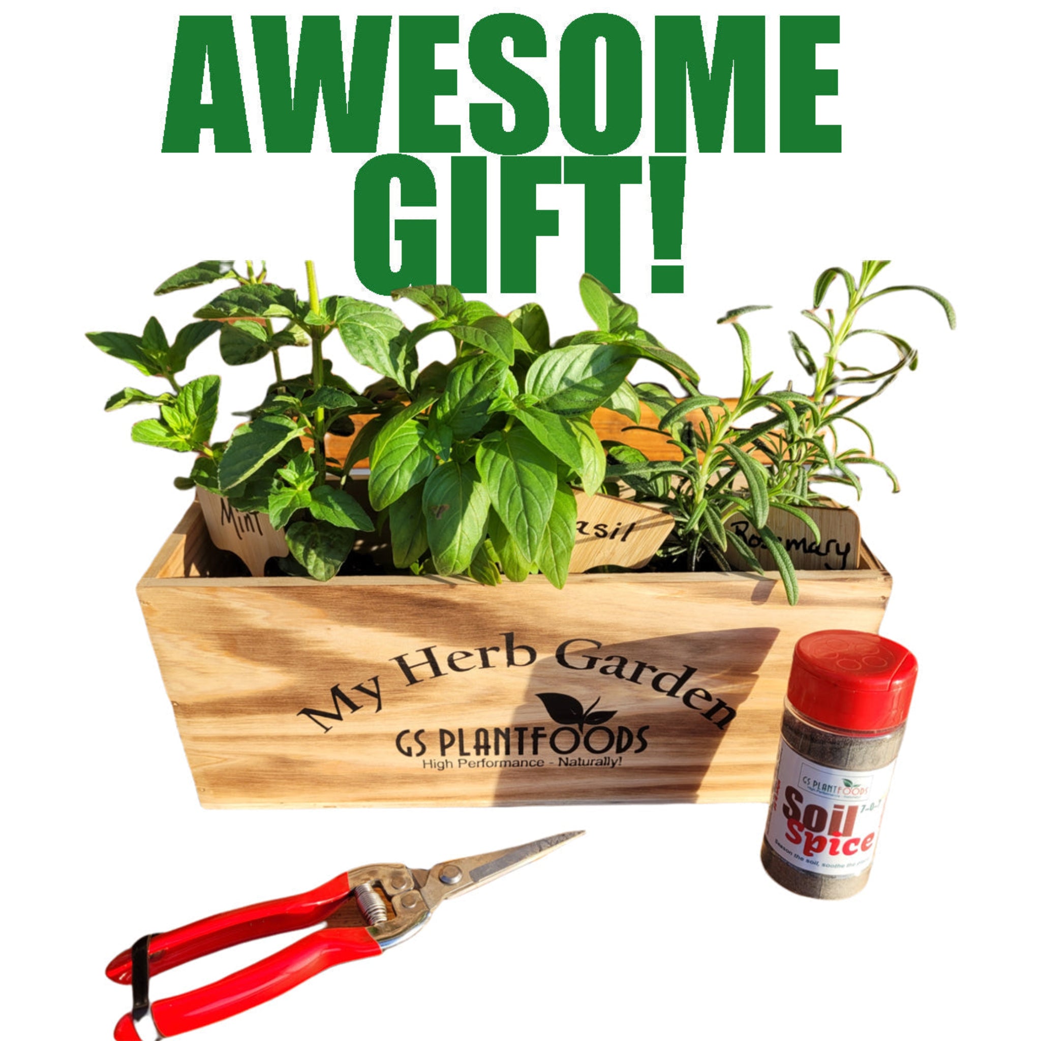 Herb Window Garden Gift Set