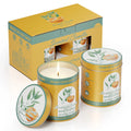 Scented Candle Set | 2Pack 80H Burn Time | Smokeless Clean-Burning Soy Wax Jar Aromatherapy  Candle Gift Set Women&Men