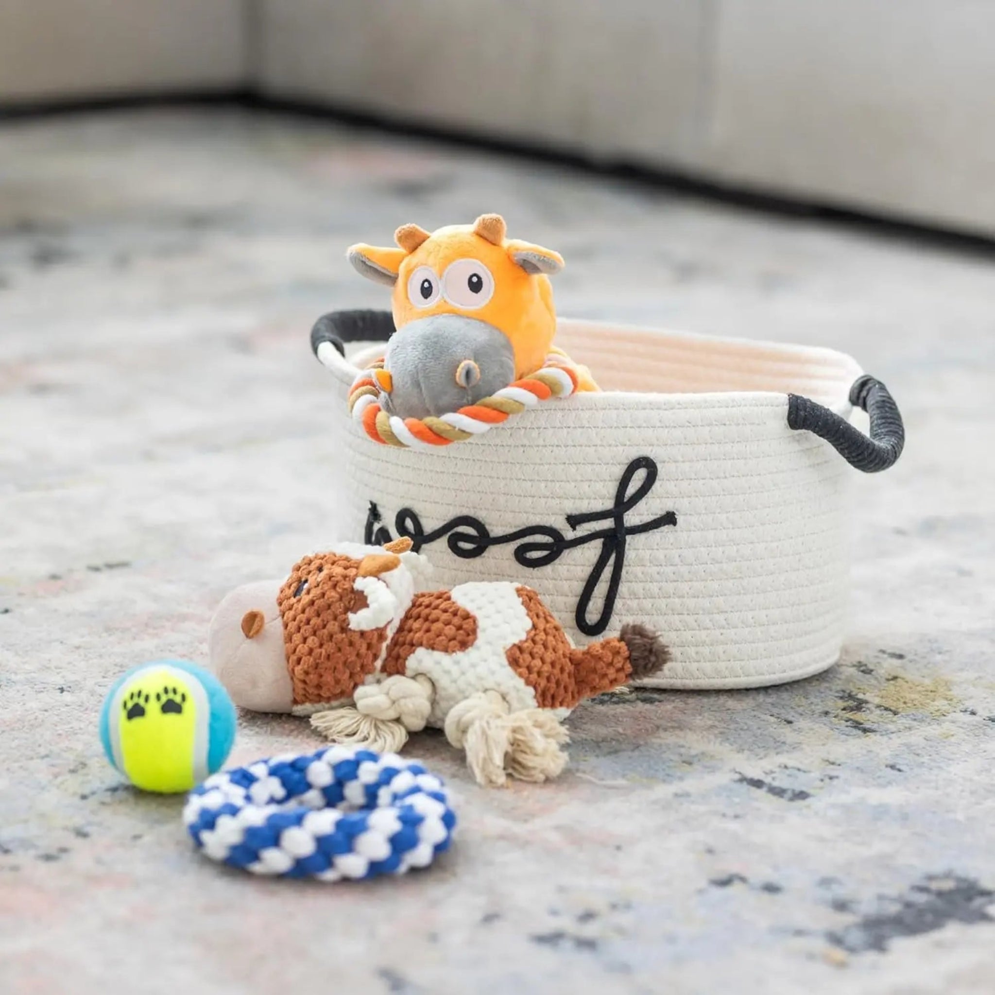 Premium New Puppy Gift Basket – Dog Starter Kit & Birthday Toy Set