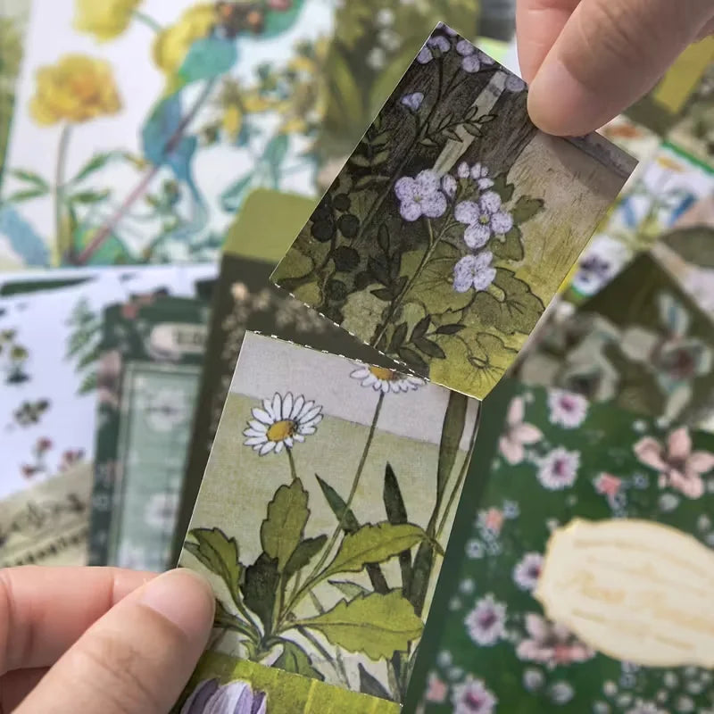 Nature-Themed Plant Material Journal Gift Box Set with Stickers And a Notebook for Quick Notes in a Salt Aesthetic Style.