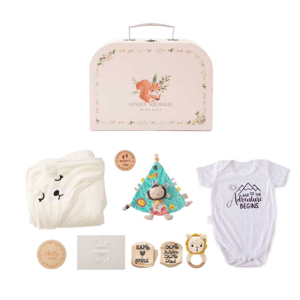 Premium Baby Girl Gift Basket Set - Perfect for Baby Shower Baby Birth, Includes Clothes, Toys & More Photography Accessories