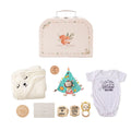 Premium Baby Girl Gift Basket Set - Perfect for Baby Shower Baby Birth, Includes Clothes, Toys & More Photography Accessories