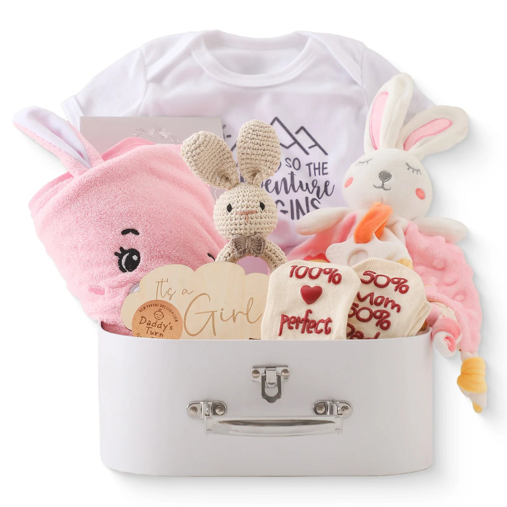 Premium Baby Girl Gift Basket Set - Perfect for Baby Shower Baby Birth, Includes Clothes, Toys & More Photography Accessories