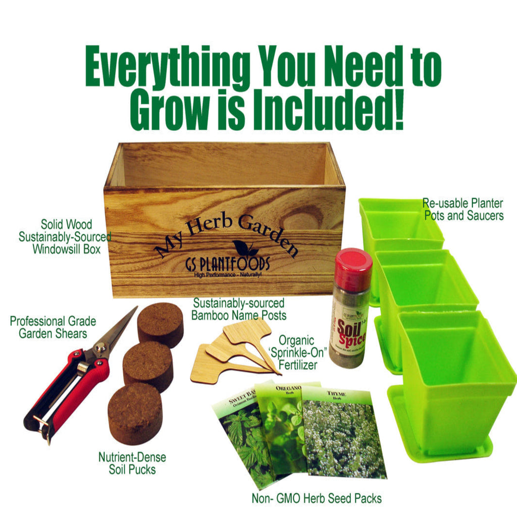 Herb Window Garden Gift Set