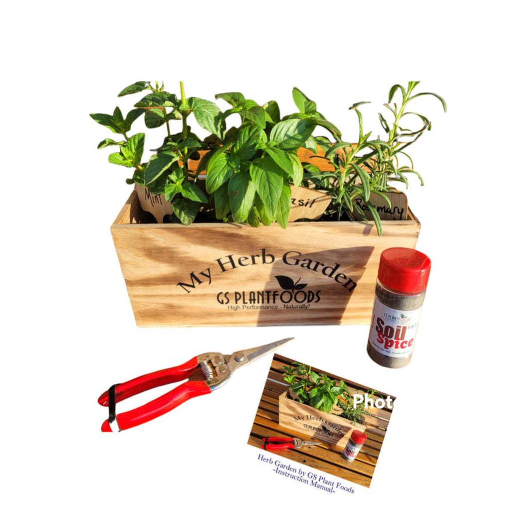 Herb Window Garden Gift Set