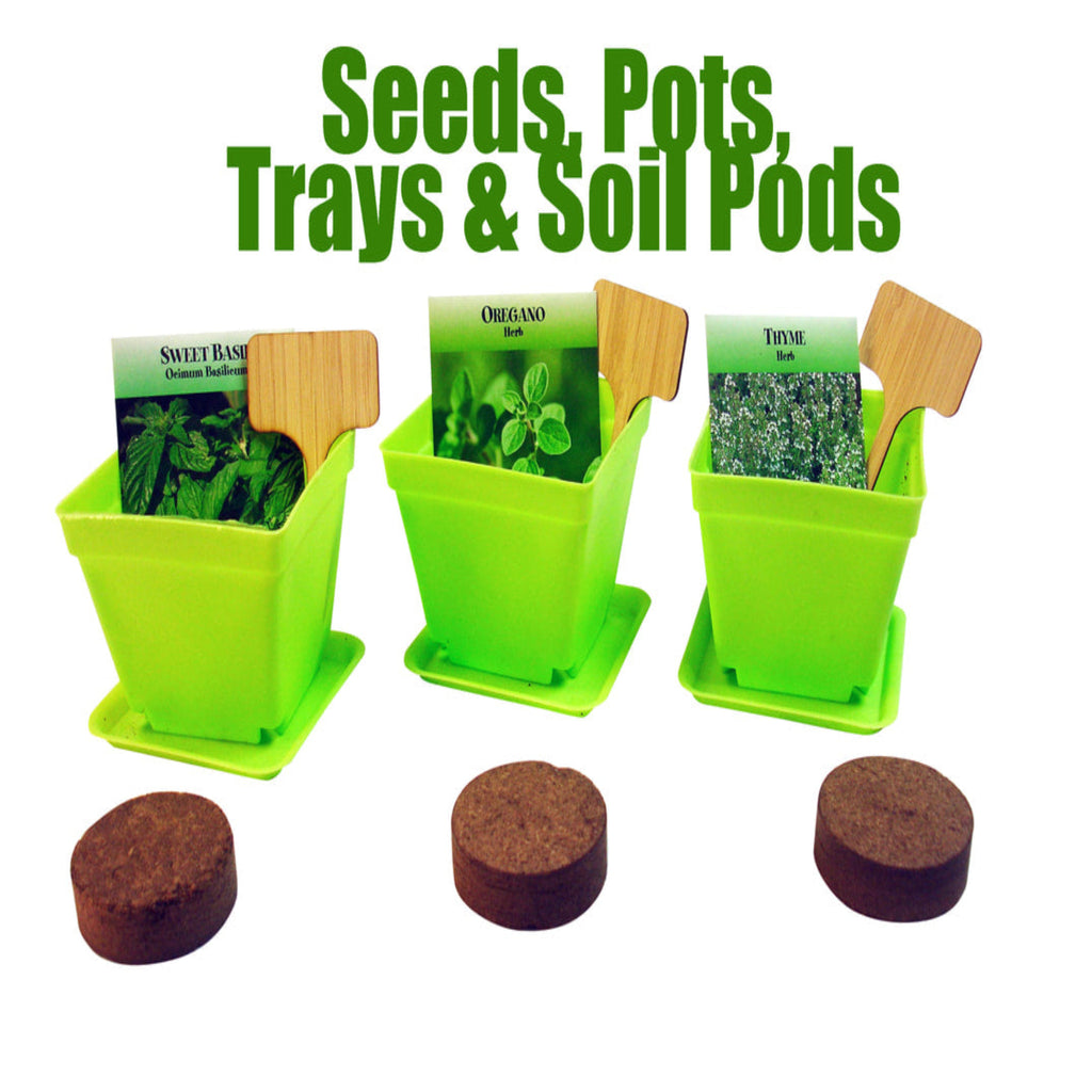 Herb Window Garden Gift Set