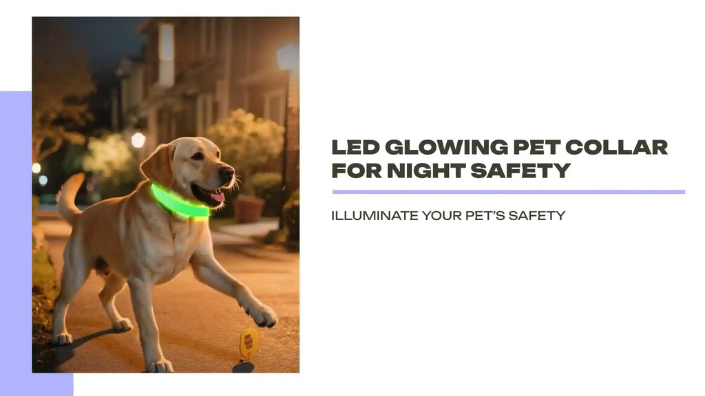 LED Glowing Pet Collar for Night Safety by@Outfy