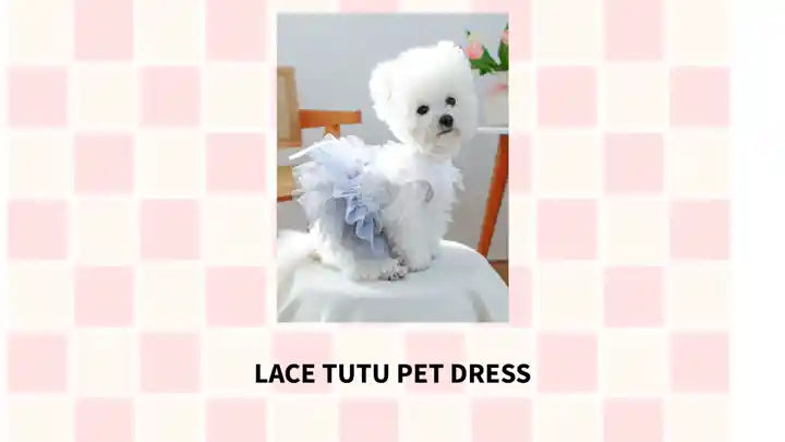 Lace Tutu Pet Dress by@Outfy