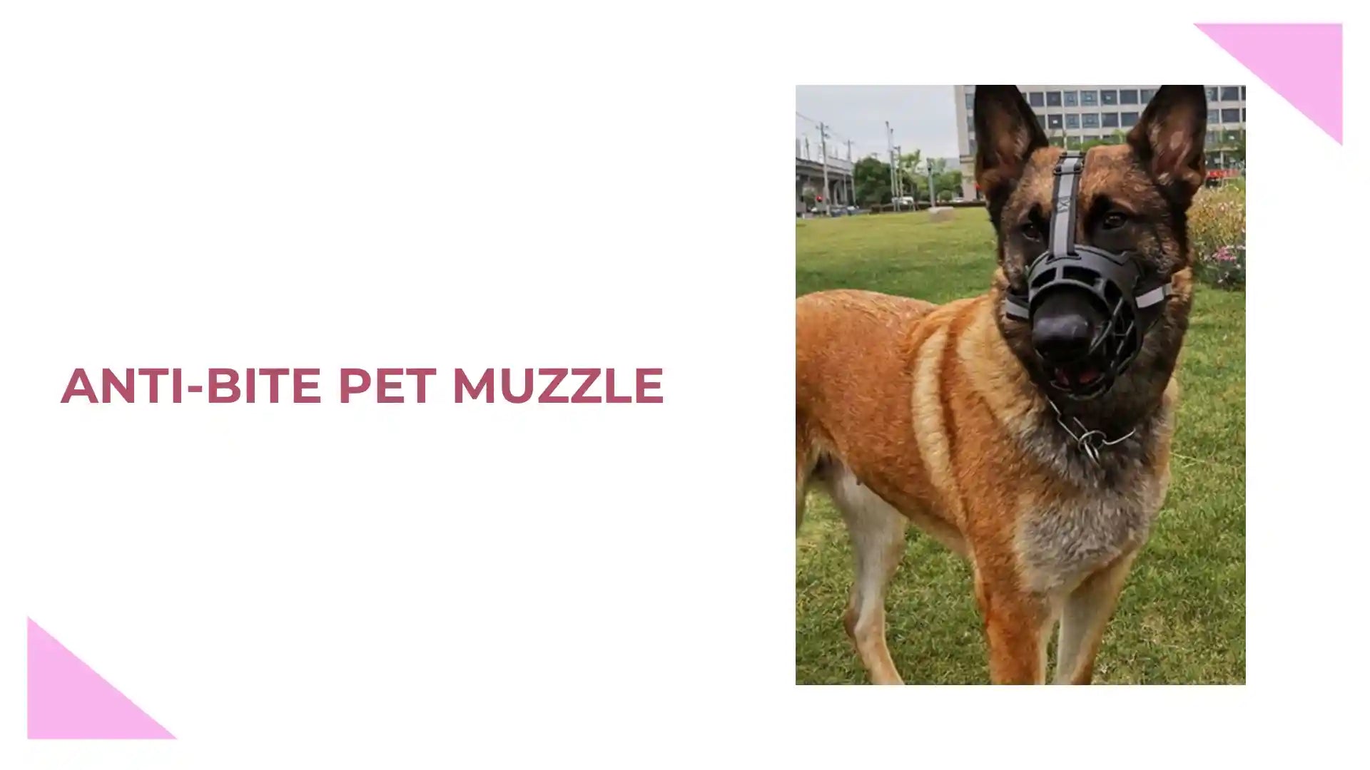 Anti-Bite Pet Muzzle by@Outfy