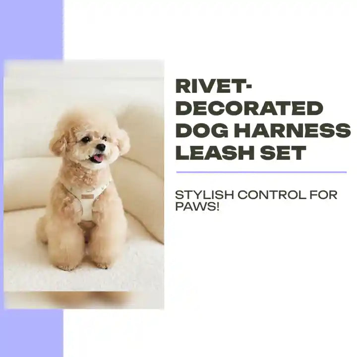 Rivet-Decorated Dog Harness Leash Set by@Outfy