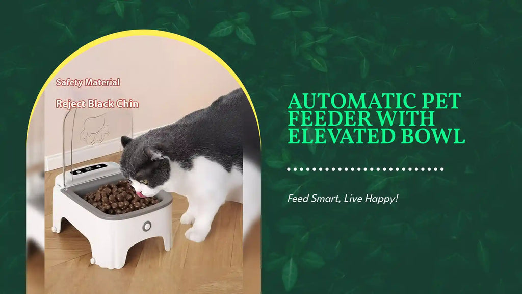 Automatic Pet Feeder with Elevated Bowl by@Outfy