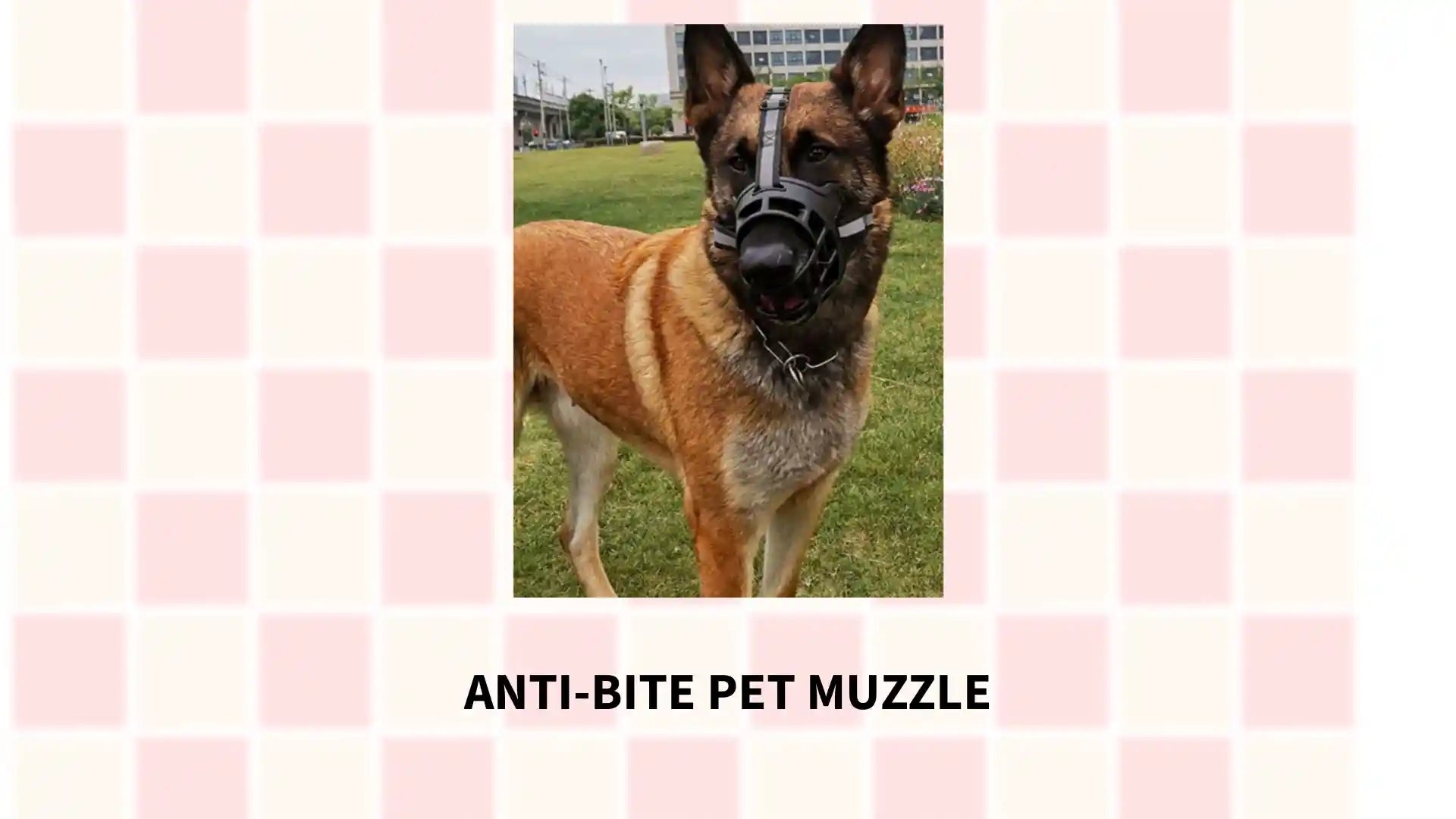 Anti-Bite Pet Muzzle by@Outfy