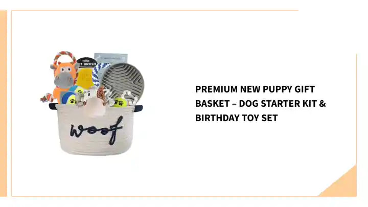 Premium New Puppy Gift Basket &ndash; Dog Starter Kit & Birthday Toy Set by@Outfy