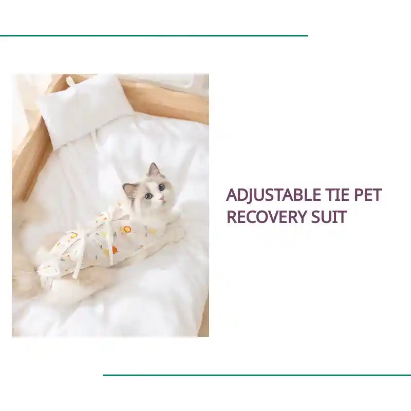 Adjustable Tie Pet Recovery Suit by@Outfy