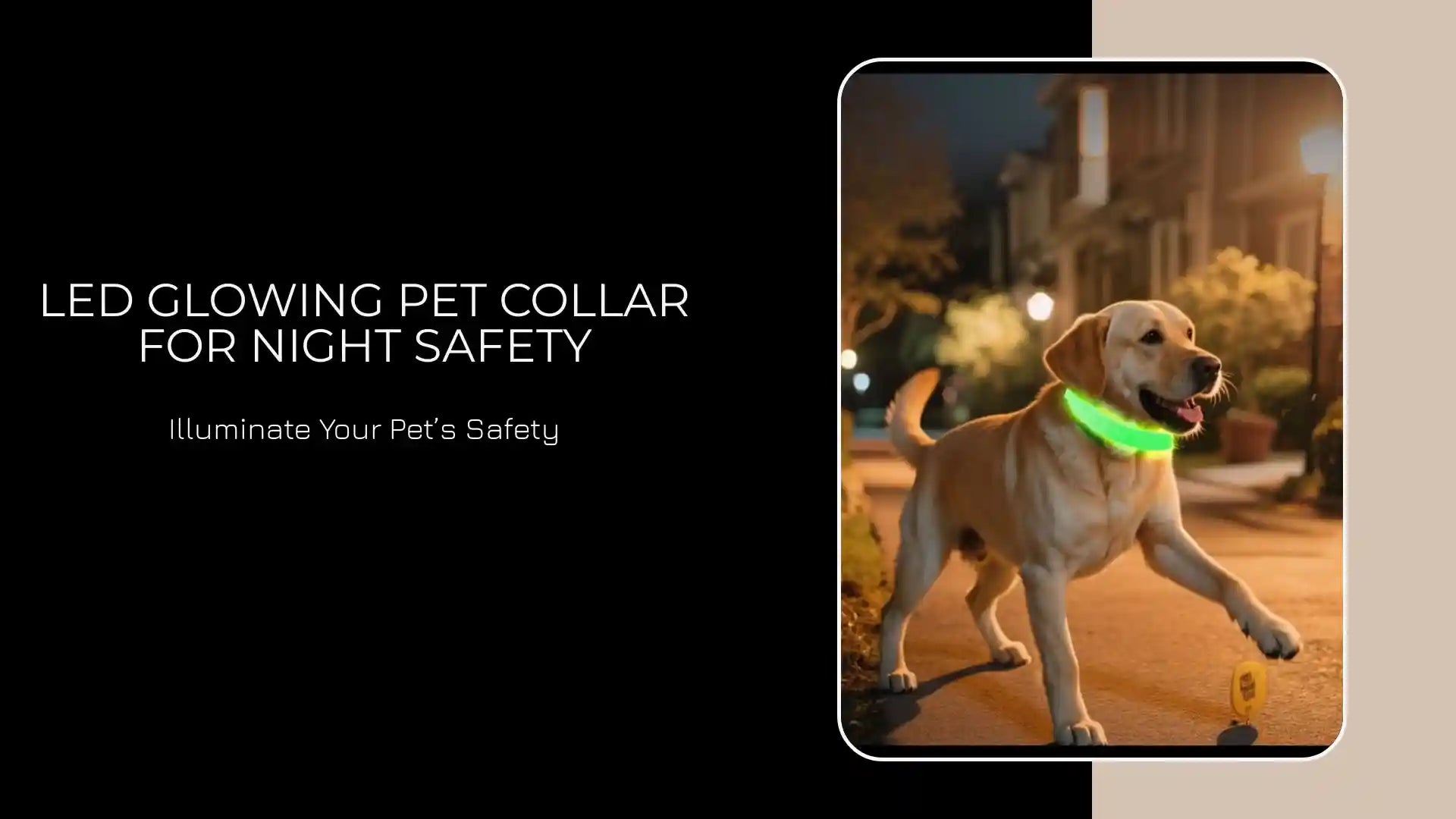 LED Glowing Pet Collar for Night Safety by@Outfy