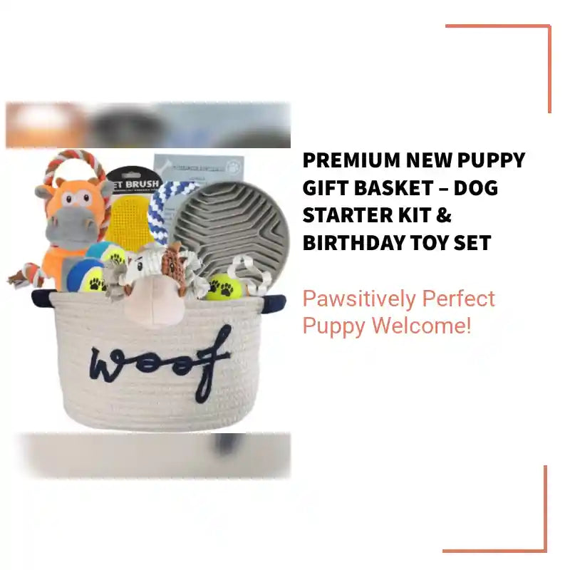 Premium New Puppy Gift Basket &ndash; Dog Starter Kit & Birthday Toy Set by@Outfy