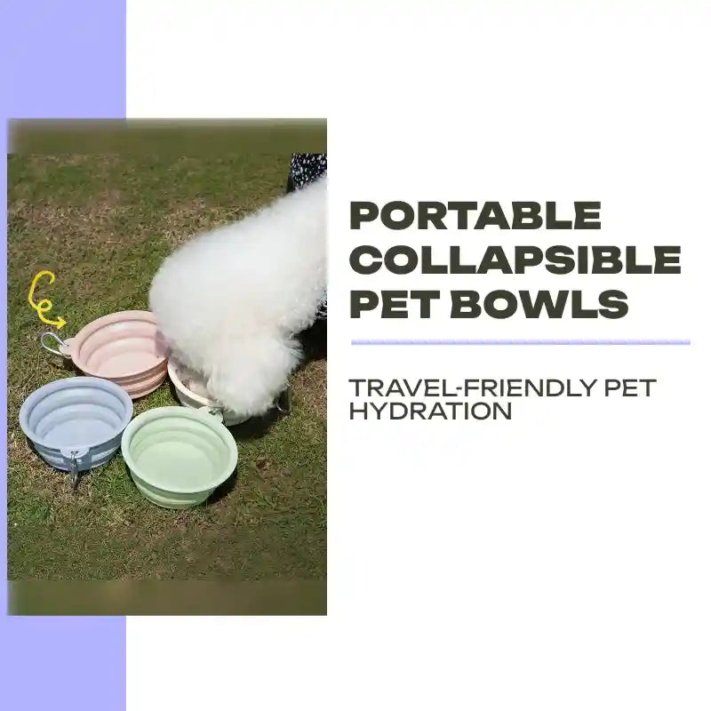 Portable Collapsible Pet Bowls by@Outfy